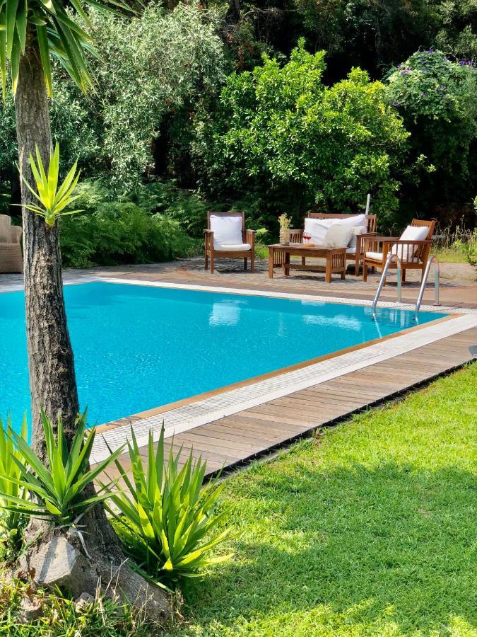 Gialos Villas 1-2 With A Private Pool 미크로스 지알로스 외부 사진